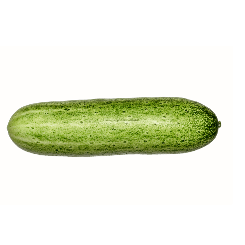 CUCUMBER - Dưa Leo