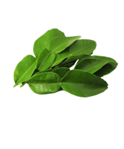 LIME LEAVES - Lá Chanh