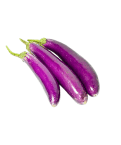 EGGPLANT - Cà Tím