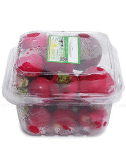 RED RADISHH - Củ Cải Đỏ