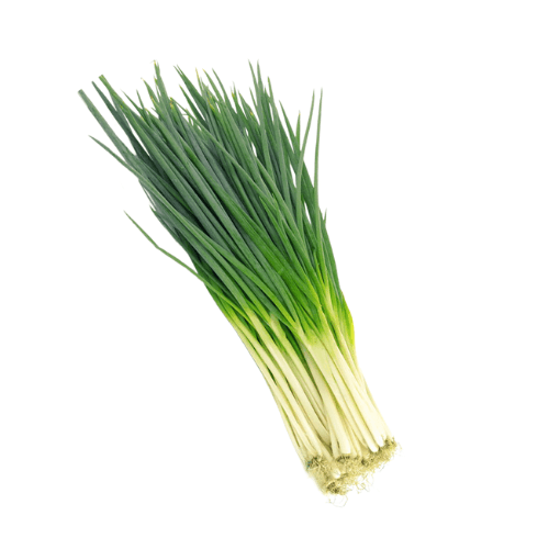 GREEN ONION - Hành Lá