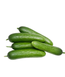 BABY CUCUMBER - Dưa Leo Baby