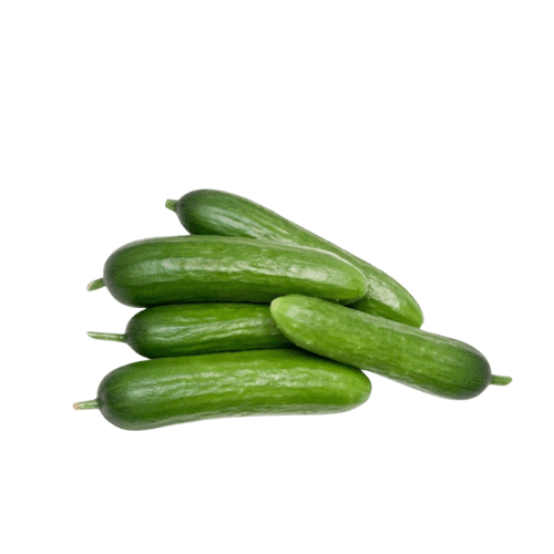 BABY CUCUMBER - Dưa Leo Baby