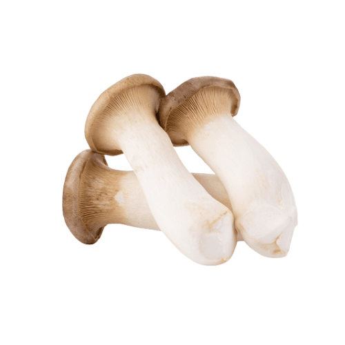 KING OYSTER MUSHROOM - Nấm Đùi Gà