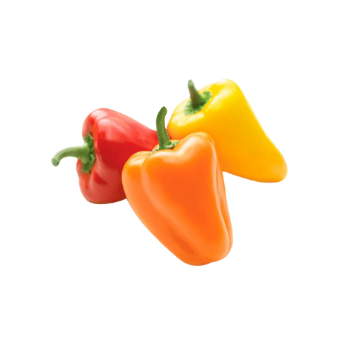 BABY BELL PEPPER - Ớt Chuông Baby