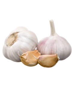 GARLIC - Tỏi