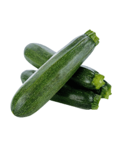 GREEN ZUCCHINI - Bí Ngòi