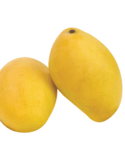 "KEO" YELLOW MANGO - Xoài Keo Vàng