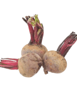 BEETROOT - Củ Dền