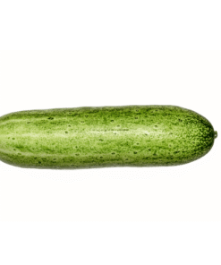 CUCUMBER - Dưa Leo