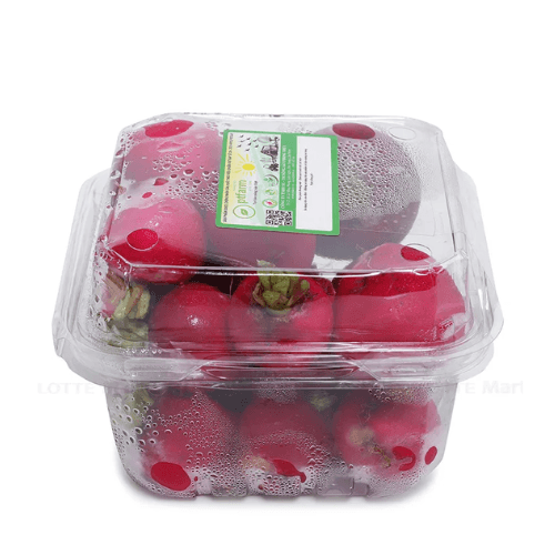 RED RADISHH - Củ Cải Đỏ