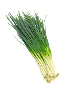 GREEN ONION - Hành Lá
