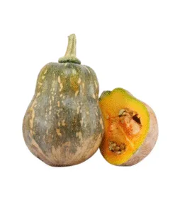 PUMPKIN - Bí Đỏ