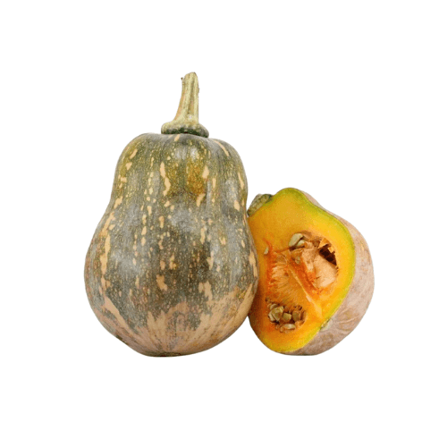PUMPKIN - Bí Đỏ