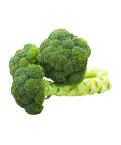 BROCCOLI - Bông Cải Xanh