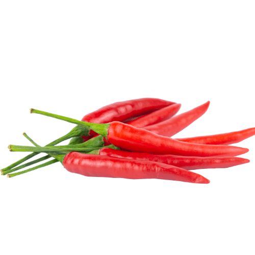 RED CHILLI - Ớt