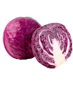 RED CABBAGE - Bắp cải Tím