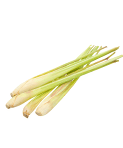 LEMONGRASS - Sả Cây
