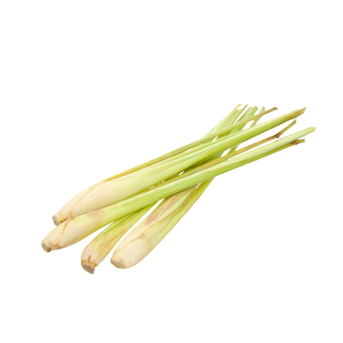 LEMONGRASS - Sả Cây
