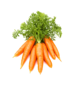 BABY CARROT - Cà Rốt Baby