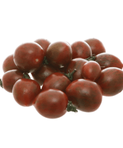 BABY CHOCOLATE TOMATO - Cà Chua Sô Cô La