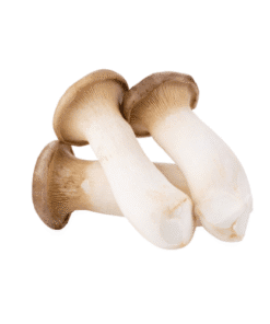 KING OYSTER MUSHROOM - Nấm Đùi Gà