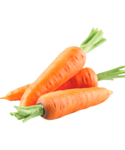 CARROT - Cà Rốt