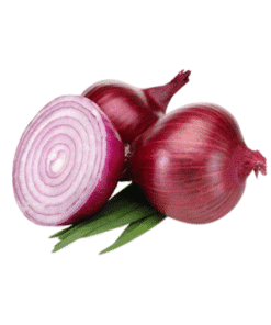 PURPLE ONION - Hành Tây Tím (CỦ TO)