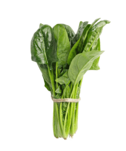 SPINACH - Cải Bó Xôi