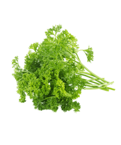PARSLEY - Ngò Tây